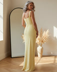 ARIA | Hourglass Maxi Jurk — back view